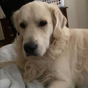 Meet your Posher, Luke